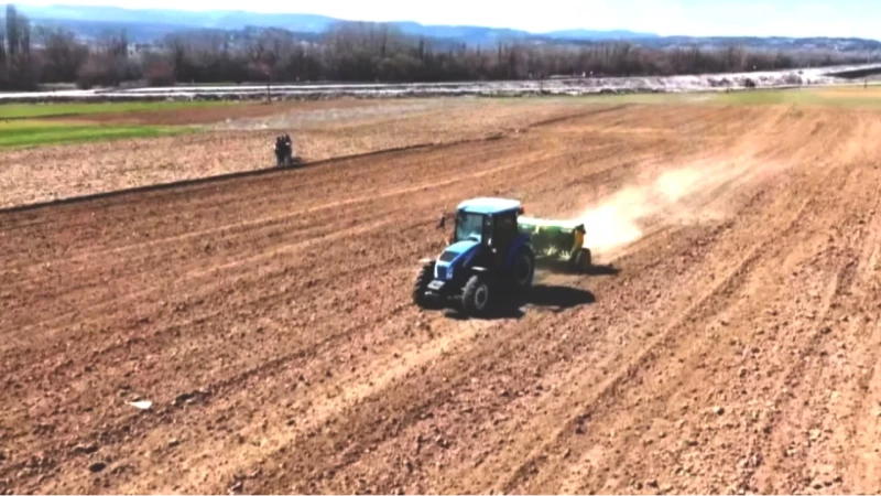 Kütahya'da Çörek Otu Desteği! Çiftçilere Yüzde 50 Hibeli Tohum Dağıtımı Başladı